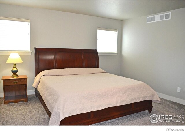 115 Anders Ct, Loveland, CO 80537 - photo 15