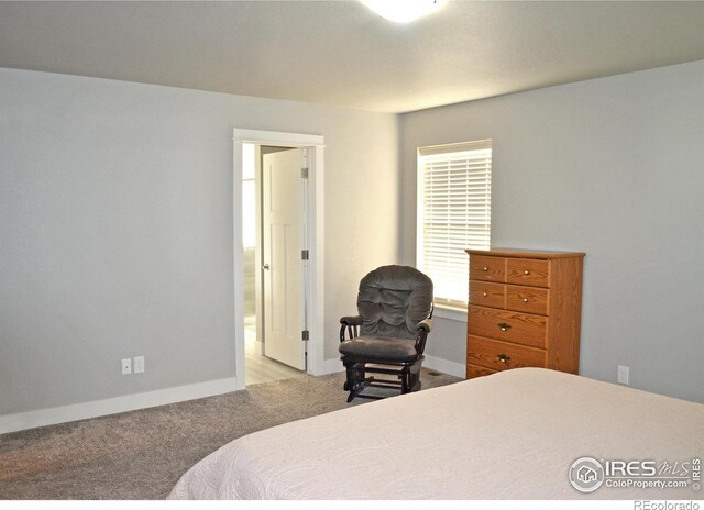 115 Anders Ct, Loveland, CO 80537 - photo 18