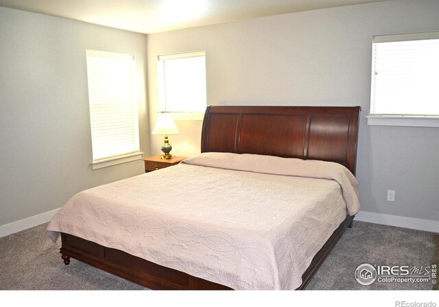115 Anders Ct, Loveland, CO 80537 - photo 16
