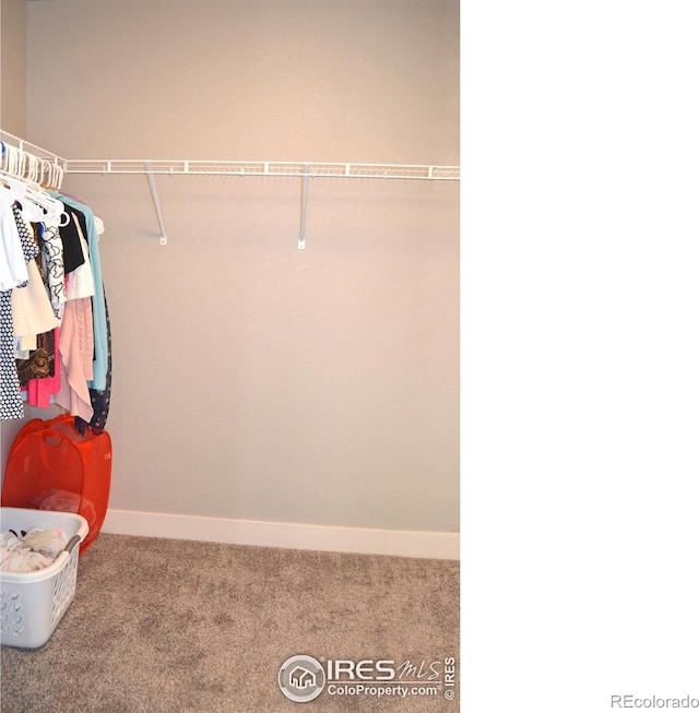 115 Anders Ct, Loveland, CO 80537 - photo 23