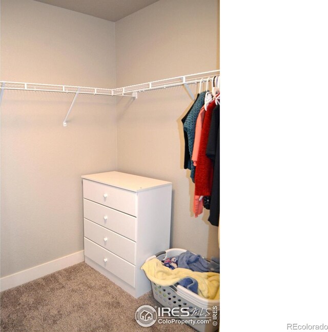 115 Anders Ct, Loveland, CO 80537 - photo 24