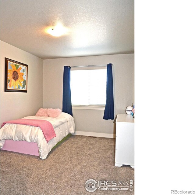 115 Anders Ct, Loveland, CO 80537 - photo 30