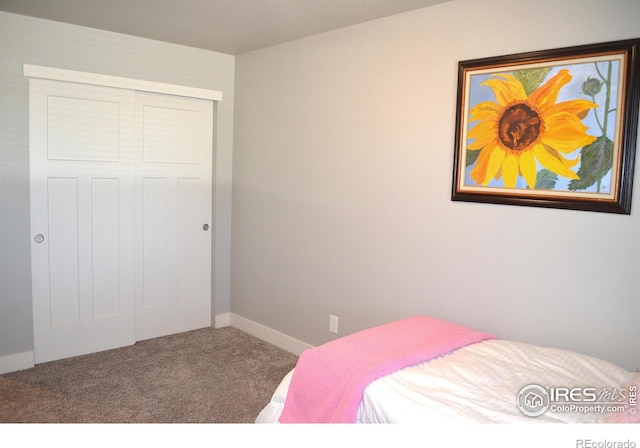 115 Anders Ct, Loveland, CO 80537 - photo 31