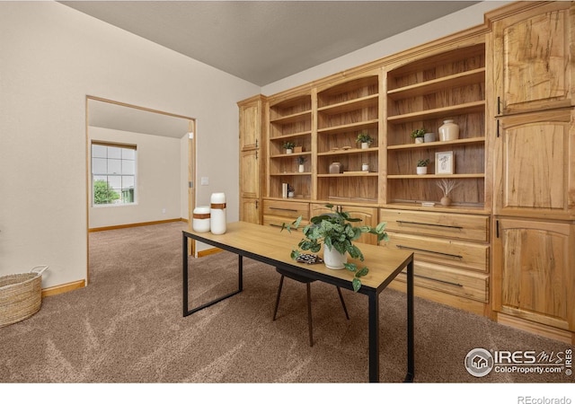 3124 6th Pl SW, Loveland, CO 80537 - photo 10