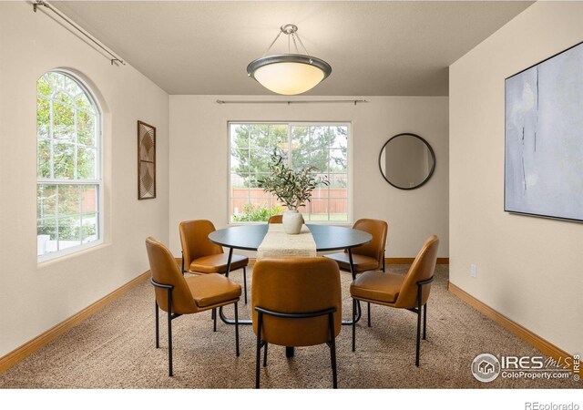 3124 6th Pl SW, Loveland, CO 80537 - photo 13