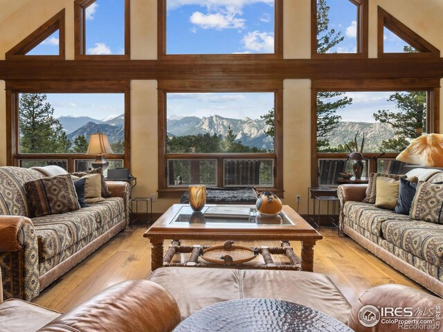 550 Ouray Dr, Estes Park, CO 80517 - photo 10