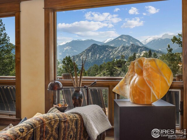 550 Ouray Dr, Estes Park, CO 80517 - photo 14
