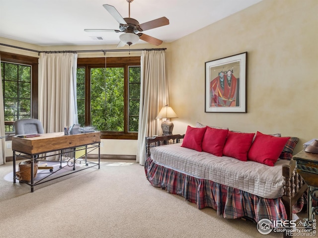 550 Ouray Dr, Estes Park, CO 80517 - photo 33