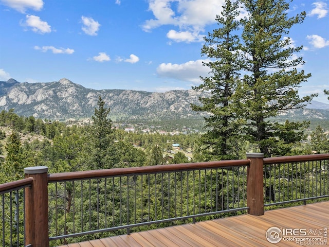 550 Ouray Dr, Estes Park, CO 80517 - photo 38