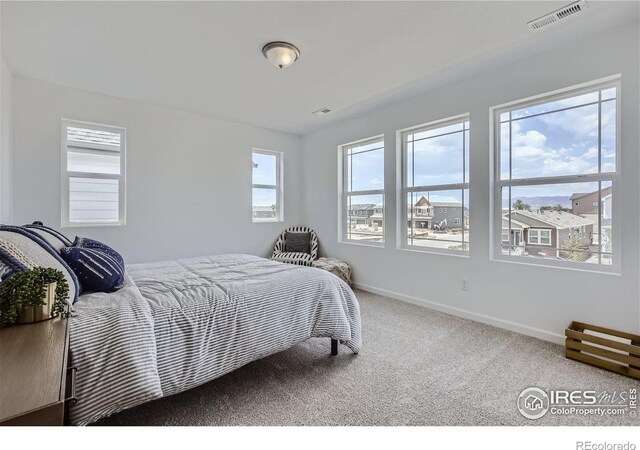 2302 Walbridge Rd, Fort Collins, CO 80524