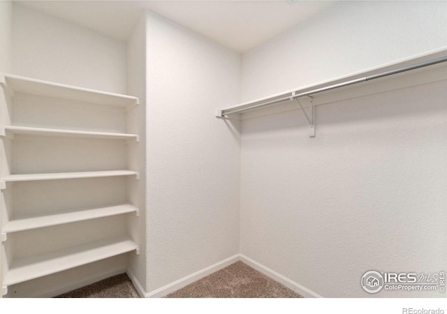3350 Boulder Cir Unit 201, Broomfield, CO 80023 - walk in closet featuring carpet