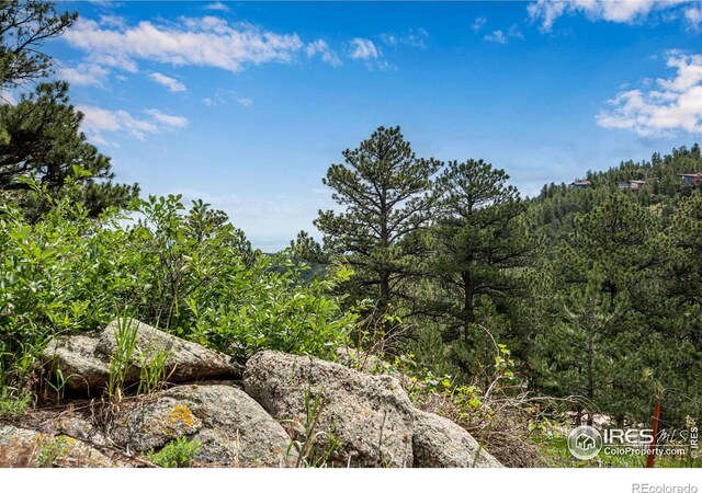 853 Deer Trail Rd, Boulder, CO 80302 - photo 39
