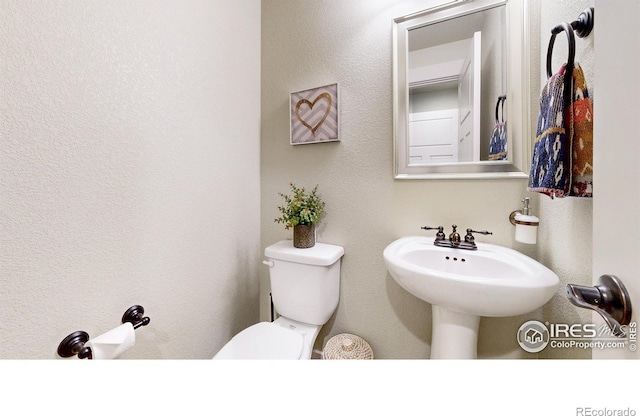 2135 Scarecrow Rd, Fort Collins, CO 80525 - photo 18