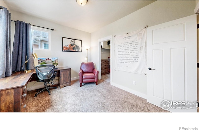 2135 Scarecrow Rd, Fort Collins, CO 80525 - photo 26