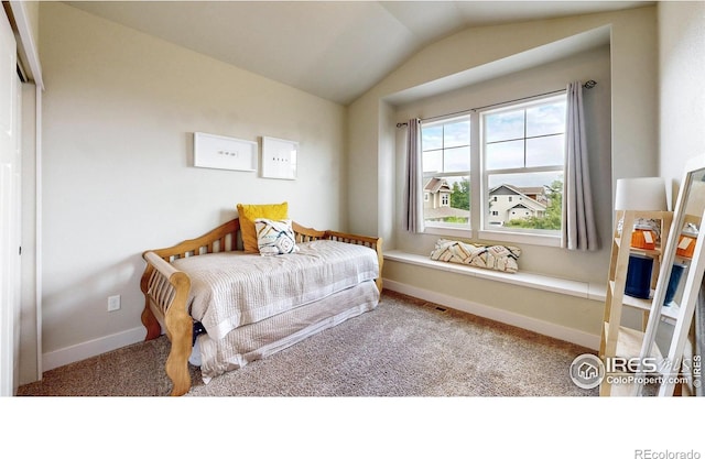 2135 Scarecrow Rd, Fort Collins, CO 80525 - photo 29
