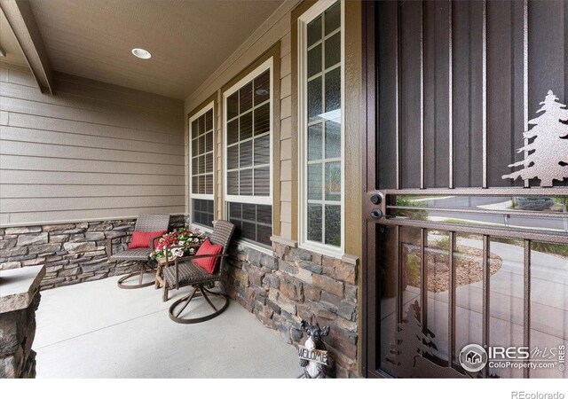 3560 Peruvian Torch Dr, Loveland, CO 80537 - photo 12