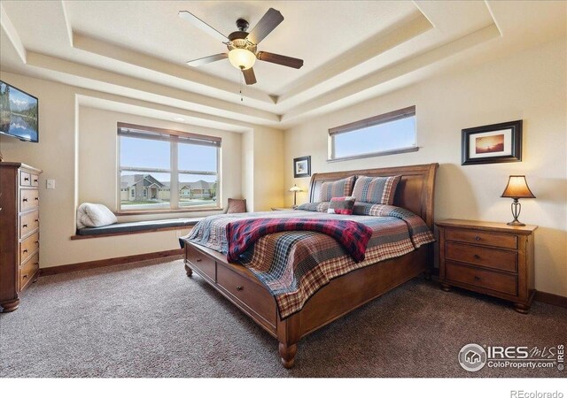3560 Peruvian Torch Dr, Loveland, CO 80537 - photo 25