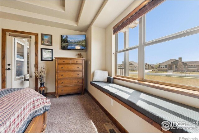 3560 Peruvian Torch Dr, Loveland, CO 80537 - photo 26