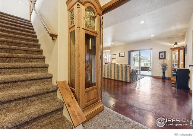 3560 Peruvian Torch Dr, Loveland, CO 80537 - photo 32
