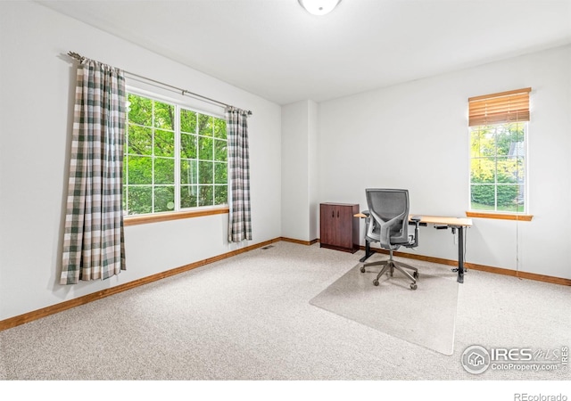 502 Peregrine Cir, Longmont, CO 80504 - carpeted home office featuring baseboards