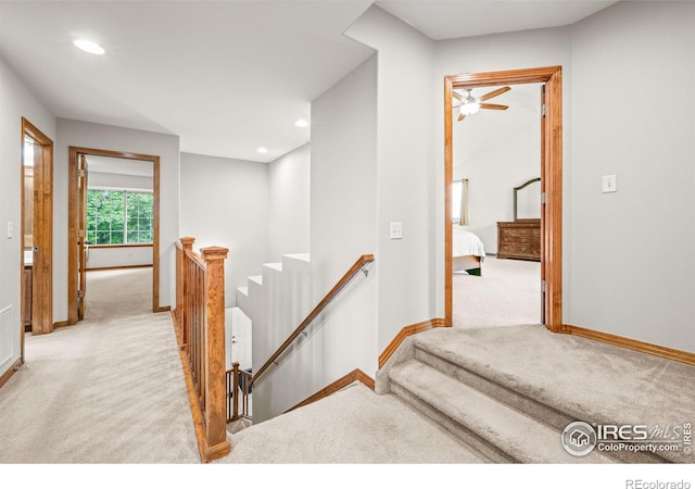 502 Peregrine Cir, Longmont, CO 80504 - stairway with carpet flooring, recessed lighting, and a ceiling fan
