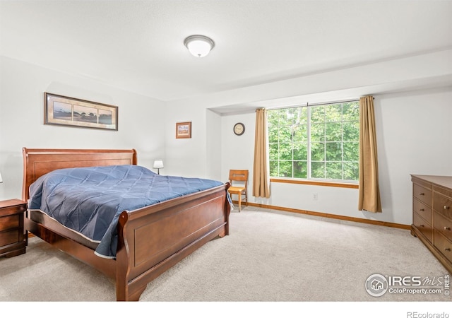 502 Peregrine Cir, Longmont, CO 80504 - bedroom with carpet flooring and baseboards