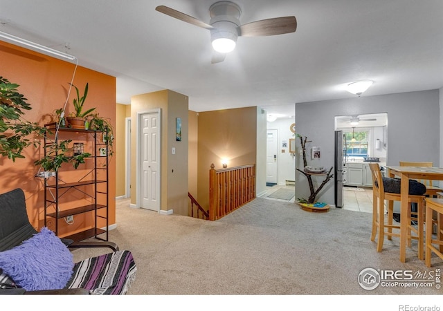 1333 Village Park Ct, Fort Collins, CO 80526 - photo 11