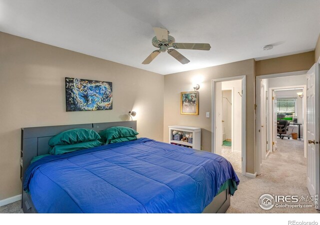 1333 Village Park Ct, Fort Collins, CO 80526 - photo 14