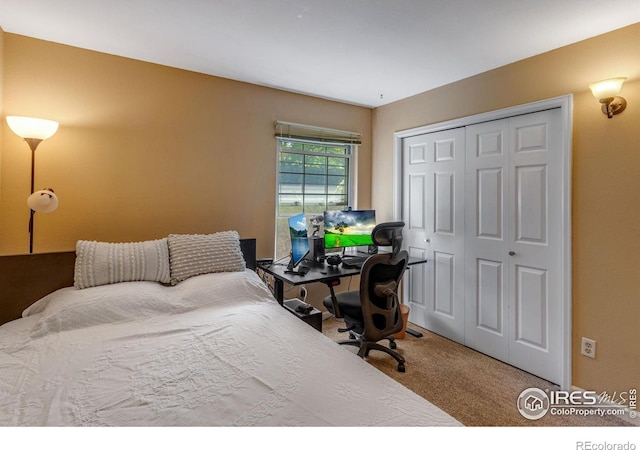 1333 Village Park Ct, Fort Collins, CO 80526 - photo 17