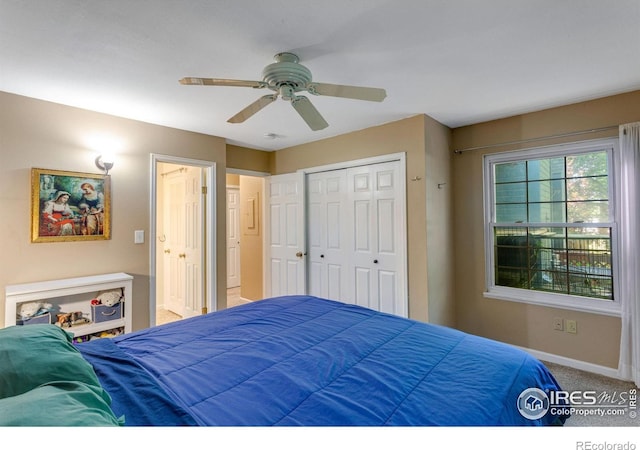 1333 Village Park Ct, Fort Collins, CO 80526 - photo 20