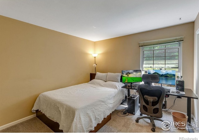 1333 Village Park Ct, Fort Collins, CO 80526 - photo 25