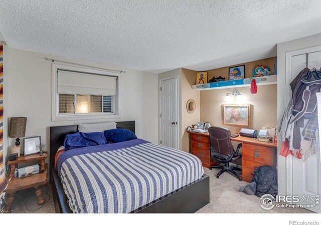 1333 Village Park Ct, Fort Collins, CO 80526 - photo 27