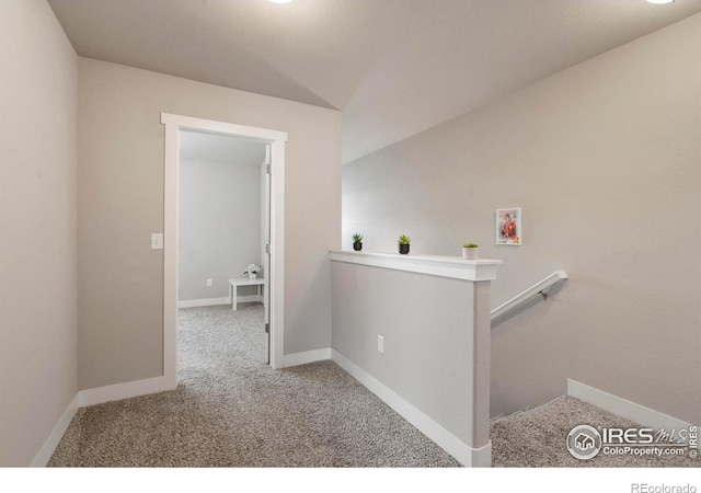 6340 Orchard Park Dr Unit 2, Greeley, CO 80634 - photo 20