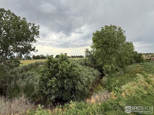 6340 Orchard Park Dr Unit 2, Greeley, CO 80634 - photo 8