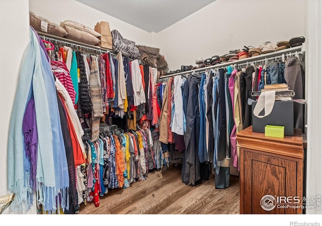 1703 Whitehall Dr Unit G, Longmont, CO 80504 - spacious closet with wood finished floors