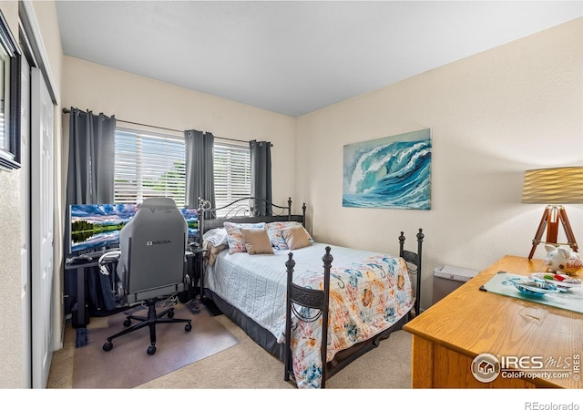1703 Whitehall Dr Unit G, Longmont, CO 80504 - bedroom with carpet floors and a closet
