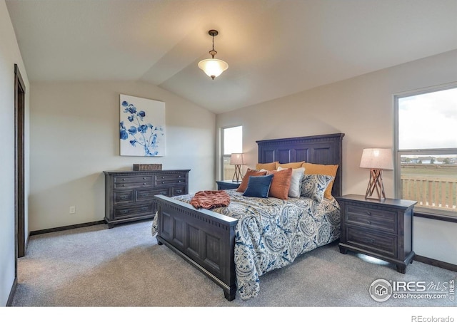 7124 Rye Grass Dr, Wellington, CO 80549 - photo 14