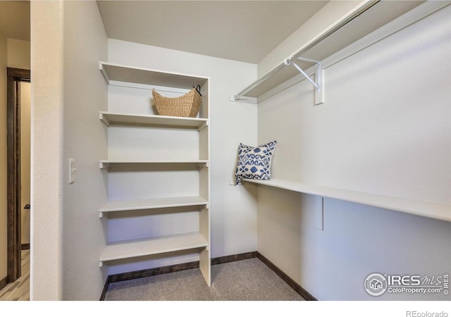 7124 Rye Grass Dr, Wellington, CO 80549 - photo 15