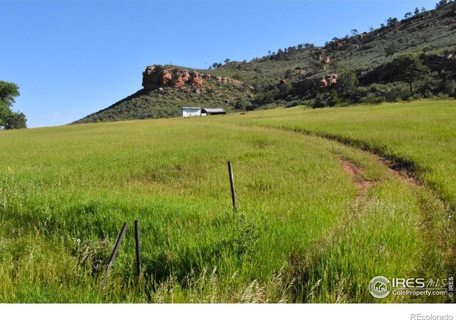 1364 Red Bluff Rd, Livermore, CO 80536 - photo 4
