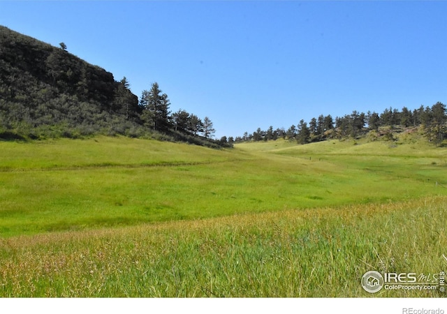 1364 Red Bluff Rd, Livermore, CO 80536 - photo 6