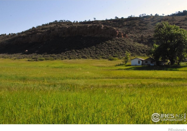 1364 Red Bluff Rd, Livermore, CO 80536 - photo 8