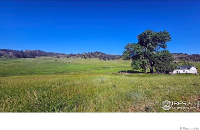 1364 Red Bluff Rd, Livermore, CO 80536 - photo 16