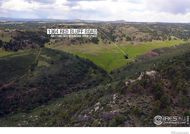 1364 Red Bluff Rd, Livermore, CO 80536 - photo 26