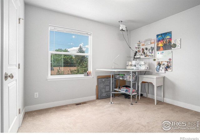 7775 5th St Unit 2, Wellington, CO 80549 - photo 23