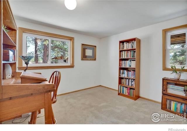 474 Leonards Rd, Boulder, CO 80302 - photo 29