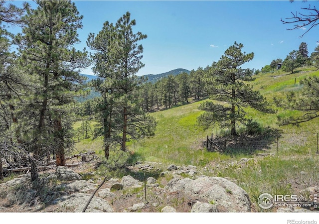 474 Leonards Rd, Boulder, CO 80302 - photo 34