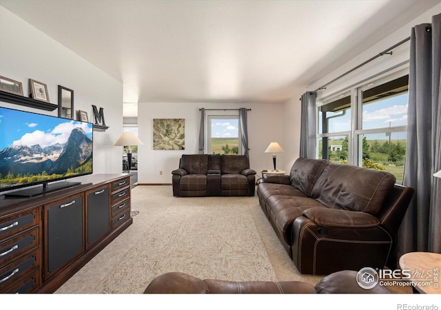 8504 County Road 84, Fort Collins, CO 80524 - photo 5