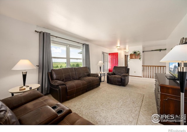 8504 County Road 84, Fort Collins, CO 80524 - photo 6