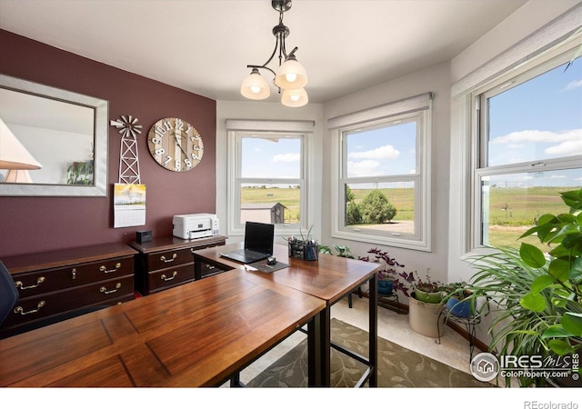 8504 County Road 84, Fort Collins, CO 80524 - photo 7