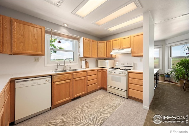 8504 County Road 84, Fort Collins, CO 80524 - photo 9